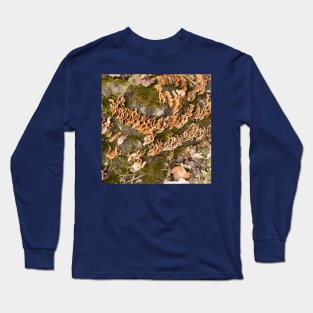 Bracket fungus Long Sleeve T-Shirt